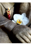 Sternkopf-Engel Mini aus Amaranth, stehend
